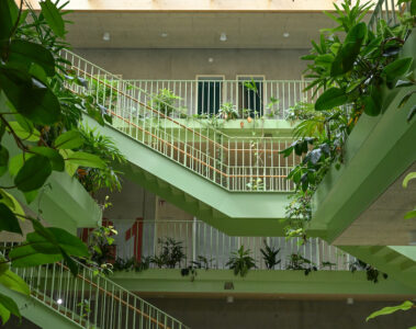 Grundschule Senden von innen mit Pflanzen im Treppenhaus