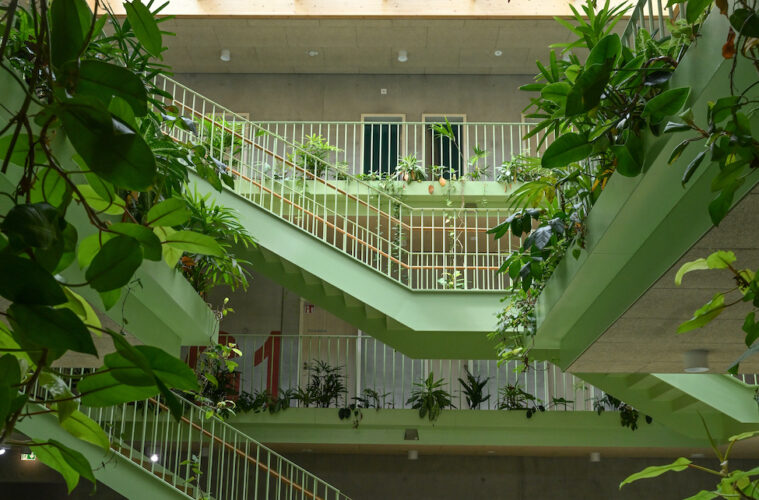 Grundschule Senden von innen mit Pflanzen im Treppenhaus