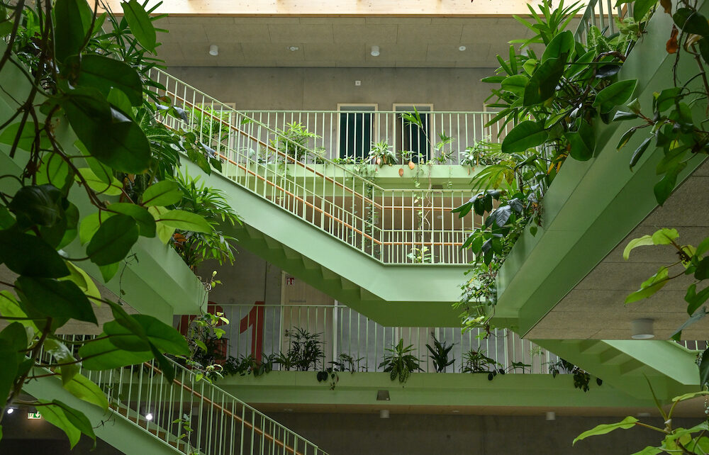 Grundschule Senden von innen mit Pflanzen im Treppenhaus