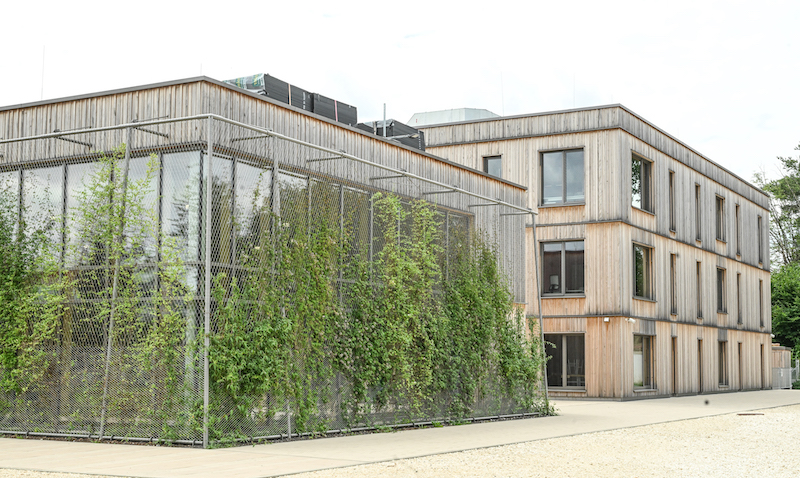 Begrünte Außengebäude der Grundschule Senden